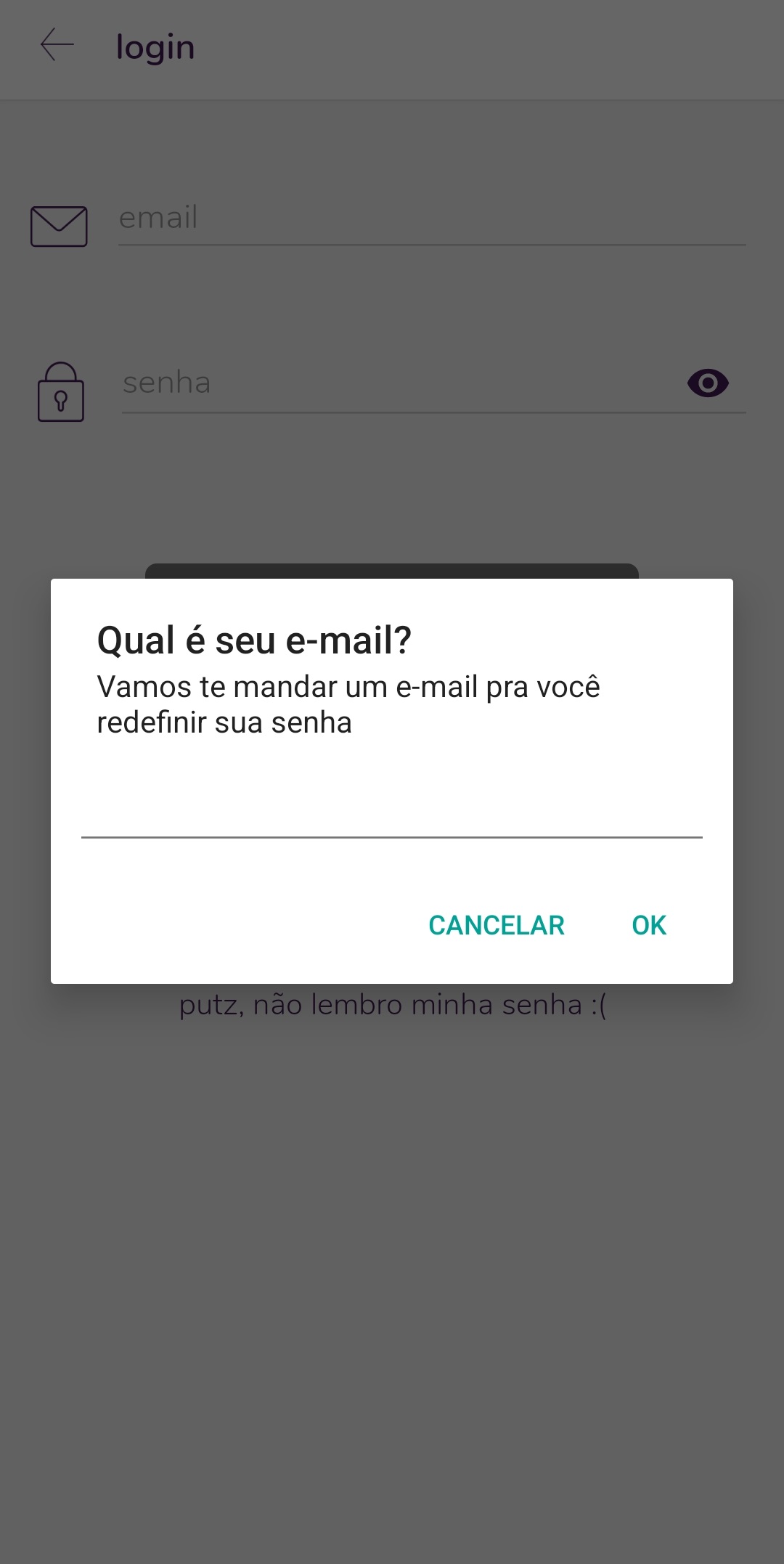 17.3_inserir_email.jpg